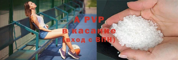 крисы Алзамай