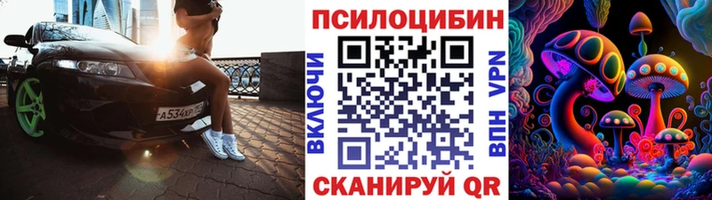Псилоцибиновые грибы Psilocybe  Нефтекумск 