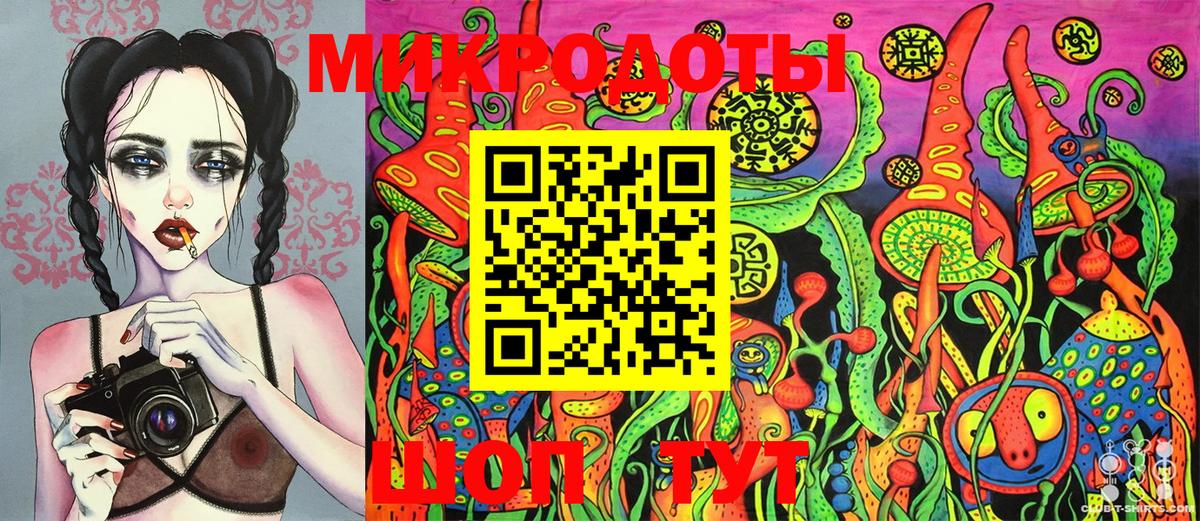 Псилоцибиновые грибы Psilocybe Нефтекумск