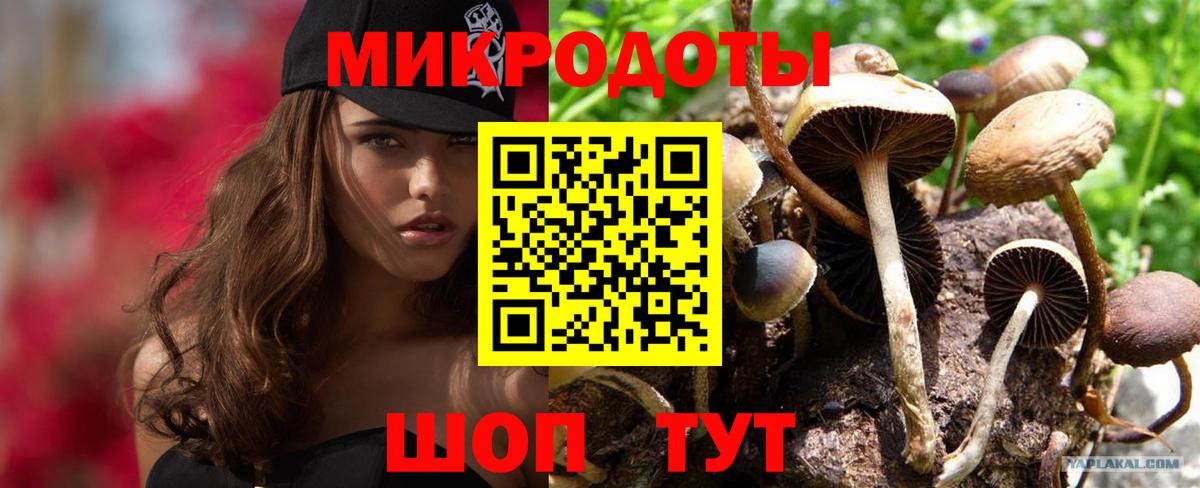 Нефтекумск  Галлюциногенные грибы прущие грибы  Вход с VPN 